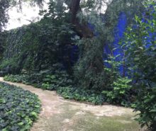 Área verde con estanque cuadrado y muros azules. Arquitectos paisajistas.