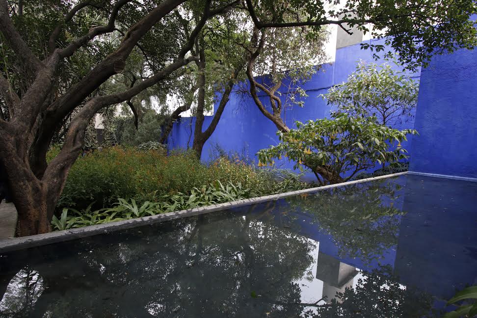 Área verde con estanque cuadrado y muros azules. Arquitectos paisajistas. 