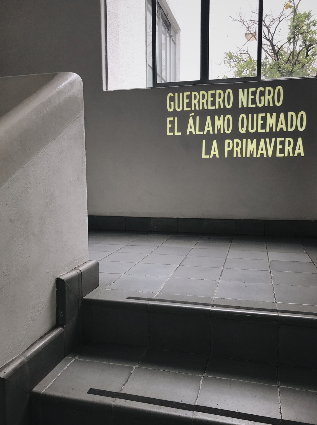 Mensaje en un pasillo. Arte en México