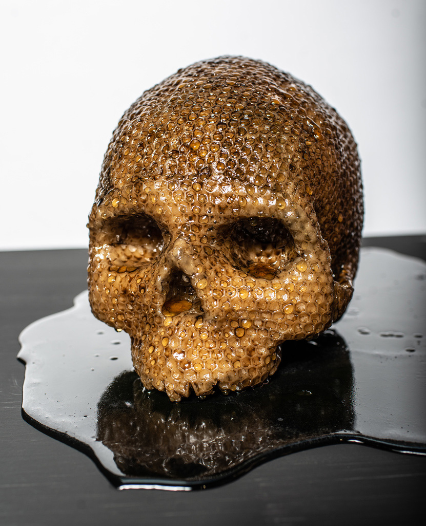 Arte contemporáneo pueblos originarios. Cráneo de miel.